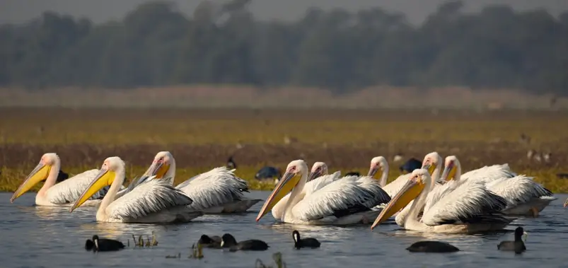 Hidden Photography Stops Between Delhi and Agra